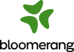 Bloomerang - General Application Logo