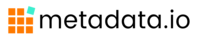 Metadata Logo